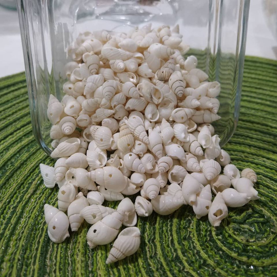 Caracoles
